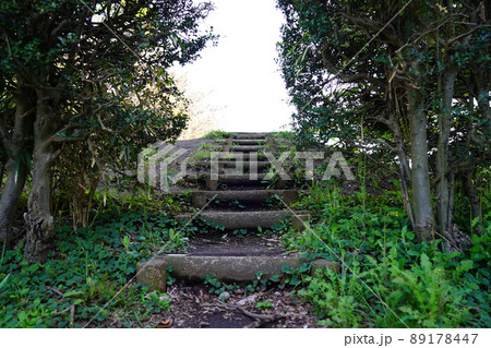 当麻東原古墳（当麻東原公園） 89178447