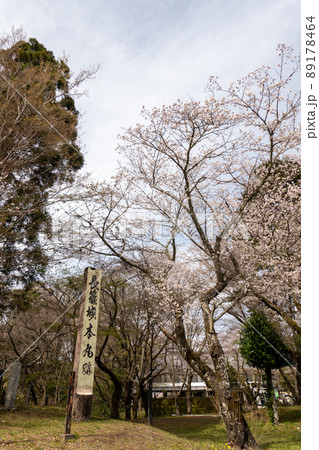 【愛知県】　長篠城跡　 89178464