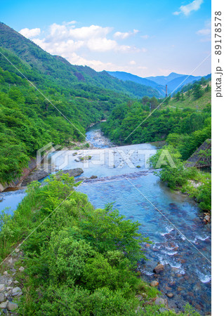 足尾砂防ダム 自然環境再生 銅橋から下流方面の眺め 初夏の風景 足尾砂防ダム 自然環境再生 銅橋から下流方面の眺め 初夏の風景 89178578