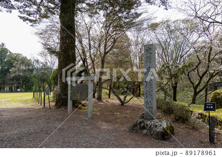 【愛知県】　長篠城跡 89178961