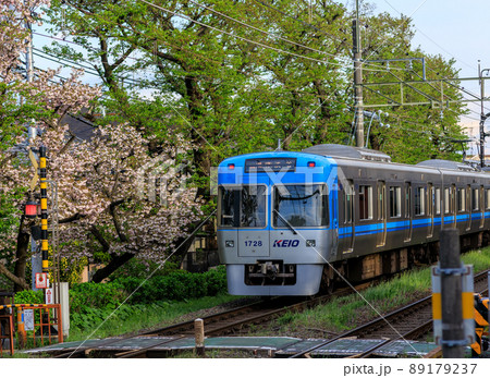 春の井之頭公園駅近くを走行する京王井の頭線の風景 89179237