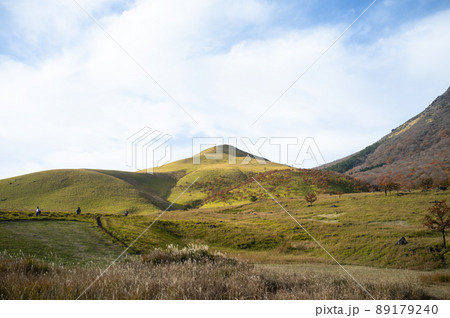 晴れた田舎の渓谷 89179240