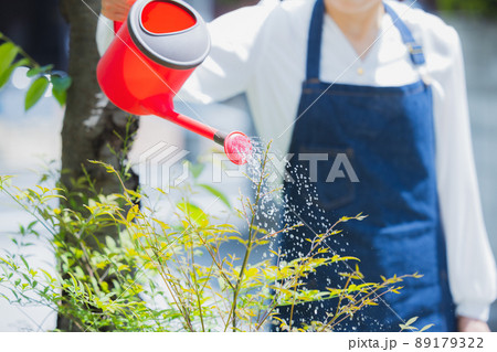 花壇 水やり 花壇 水やり 89179322