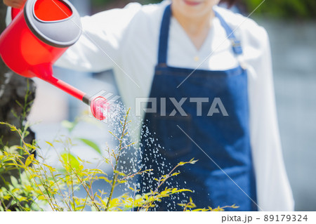 花壇 水やり 花壇 水やり 89179324