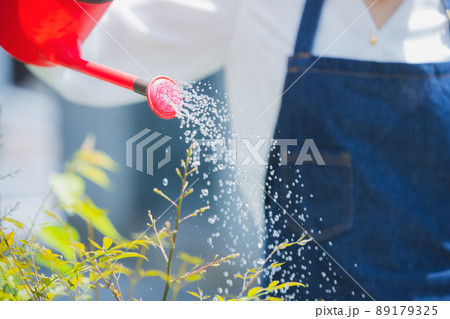 花壇　水やり 89179325