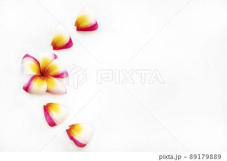 colorful flowers frangipani local flora of asia arrangement flat lay postcard style colorful flowers frangipani local flora of asia arrangement flat lay postcard style 89179889