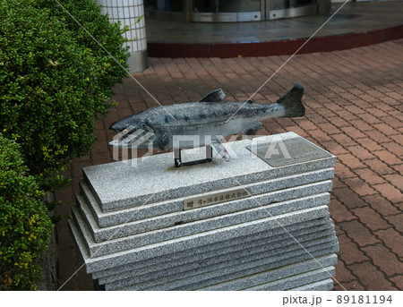 境港　鳥取県　米子 89181194