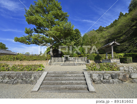 崇峻天皇 倉梯岡陵（奈良県桜井市） 89181602