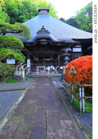 川崎市 神木山等覚院のツツジ 川崎市 神木山等覚院のツツジ 89182684