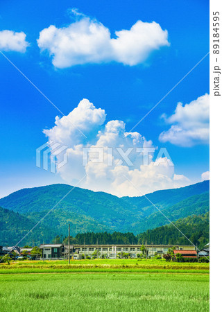 田舎 学校 夏 田舎 学校 夏 89184595