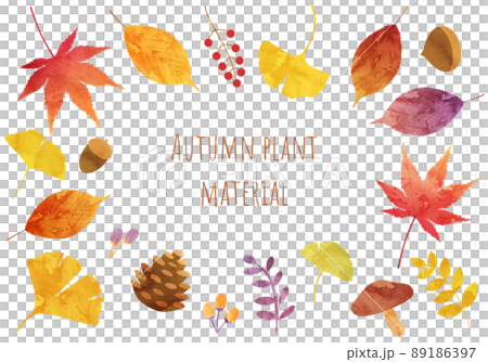 Vector illustration of autumn plant leaves (watercolor, fallen leaves, leaves, leaves) 89186397