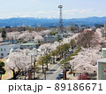 山と桜 89186671