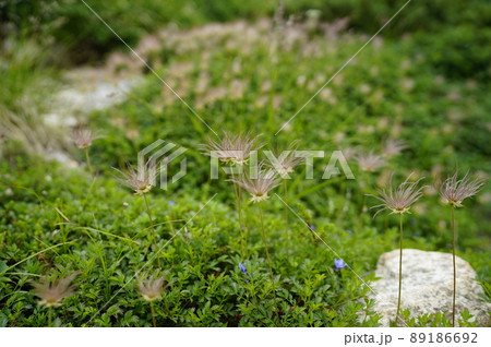 日本百名山　剱岳の登山風景 89186692