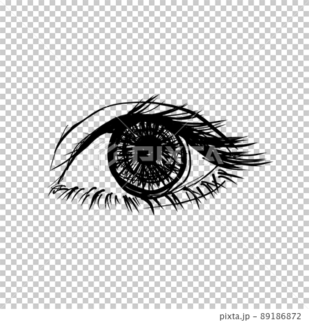 モノクロの目 89186872