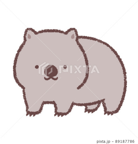 ウォンバット 89187786