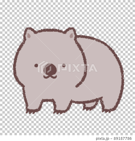 Wombat  89187786
