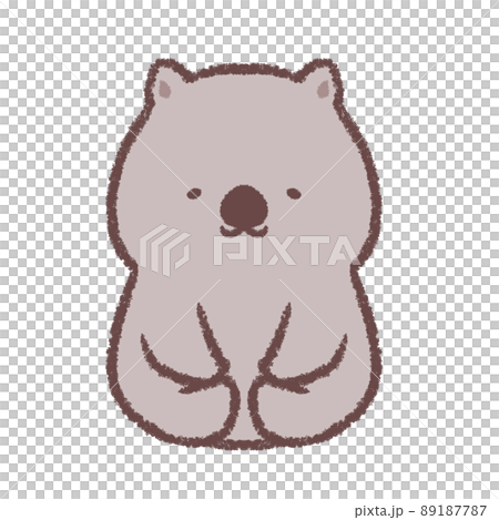 Sitting wombat 89187787