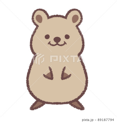 クオッカ 89187794