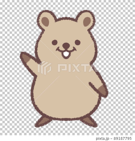 Quokka to guide 89187795