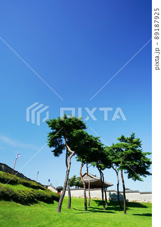 風景 空 建物 89187925