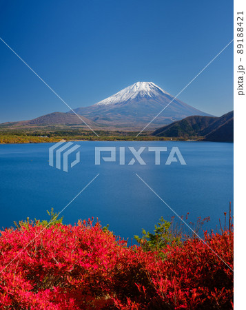 山梨本栖湖_富士山と紅葉の絶景 89188421