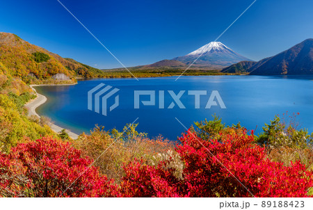 山梨本栖湖_富士山と紅葉の絶景 山梨本栖湖_富士山と紅葉の絶景 89188423