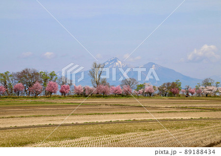 春の田んぼと磐梯山（福島県郡山市・湖南町） 89188434