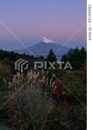 静岡_乙女峠から見る夜明けの紅富士パール 89188982