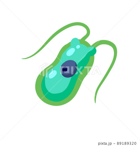 Chlamydomonas plankton. Small unicellular green animal with antennae and flagella. 89189320