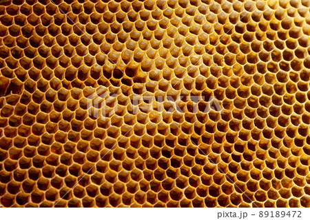 Background texture and pattern of a section of wax honeycomb from a bee hive filled with golden honey in a full frame view 89189472