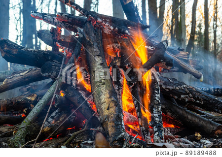 Campfire in the spring forest. Rest on the weekend. Danger of forest fires Campfire in the spring forest. Rest on the weekend. Danger of forest fires 89189488