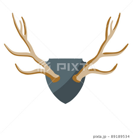 Horn of deer. Hunting trophy. Wall decoration element. Part of the stag animal head 89189534