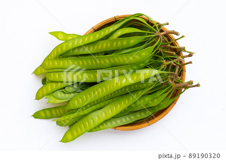 Young fruit of Leucaena leucocepphala on white background. Young fruit of Leucaena leucocepphala on white background. 89190320