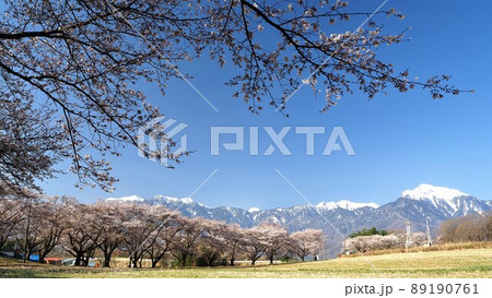 山梨県　南アルプスと蕪の桜並木　4月 89190761