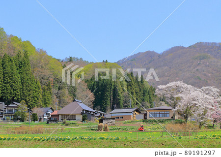 白馬村　野平の春 89191297