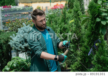 Man trimming decorative trees for sale in garden shop 89191301