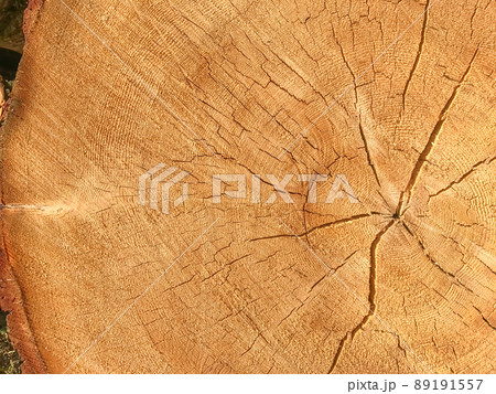 wood cut texture wood cut texture 89191557