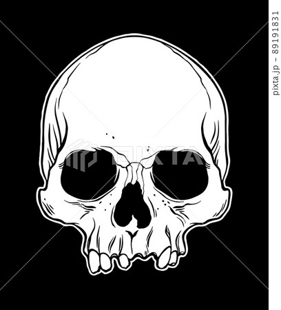 Anatomical Human Skull Anatomical Human Skull 89191831