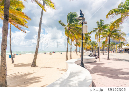 Seafront beach promenade with palm trees on a sunny day in Fort Lauderdale Seafront beach promenade with palm trees on a sunny day in Fort Lauderdale 89192306