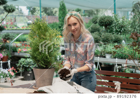 Woman planting a bush in flower pot using dirt in garden center Woman planting a bush in flower pot using dirt in garden center 89192376