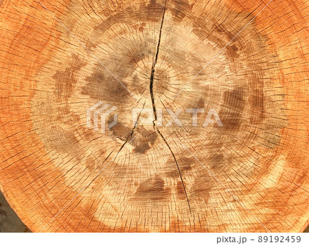 Background of wooden texture. Closeup of tree trunk with age rings Background of wooden texture. Closeup of tree trunk with age rings 89192459
