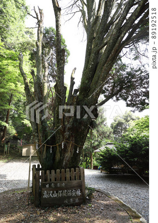 日龍峯寺(高澤観音) 日龍峯寺(高澤観音) 89192518