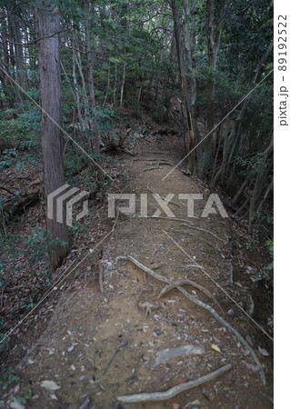 日龍峯寺(高澤観音) 89192522