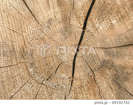 Background of wooden texture. Closeup of tree trunk with age rings 89192782