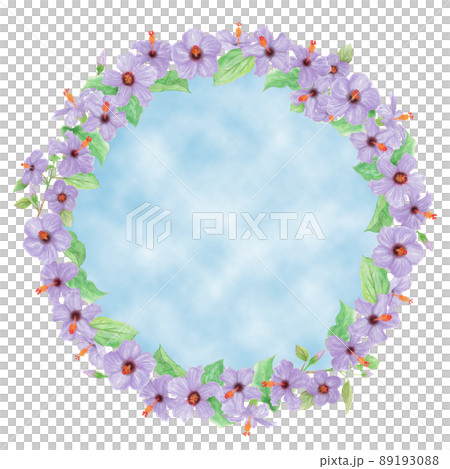 藍芙蓉花、芽、葉和枝的手繪圖框排列成圓形 藍芙蓉花、芽、葉和枝的手繪圖框排列成圓形 89193088