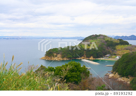 椿の島・大飛島 尻替地区の入り江を望む 岡山県笠岡市 椿の島・大飛島 尻替地区の入り江を望む 岡山県笠岡市 89193292