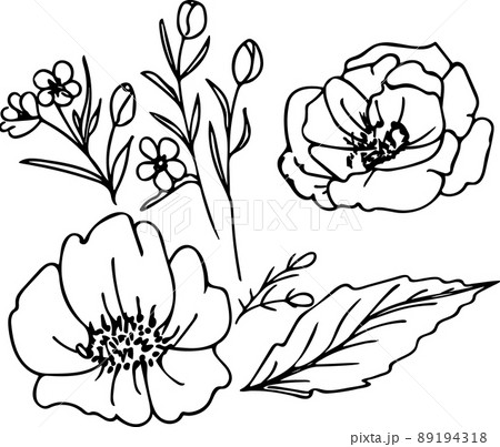 Hand drawn poppies flower doodle elements 89194318