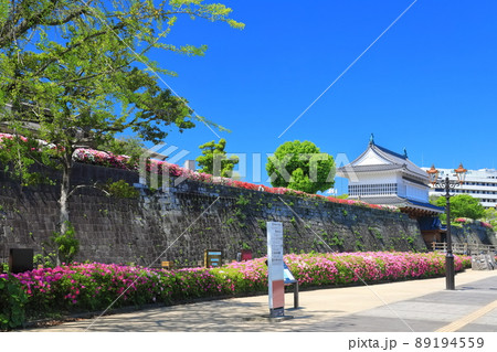 【鹿児島県】快晴下の鶴丸城　御楼門（鹿児島城） 89194559