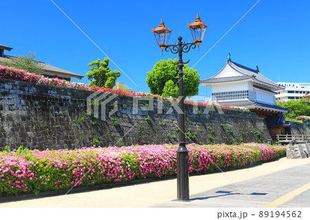 【鹿児島県】快晴下の鶴丸城　御楼門（鹿児島城） 89194562