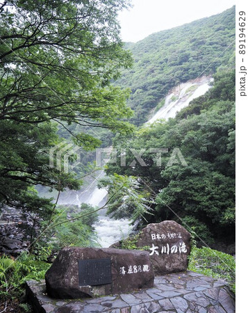 屋久島最大の滝、大川の滝 89194629